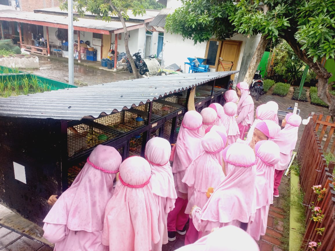 Mengenal Ciptaan Allah