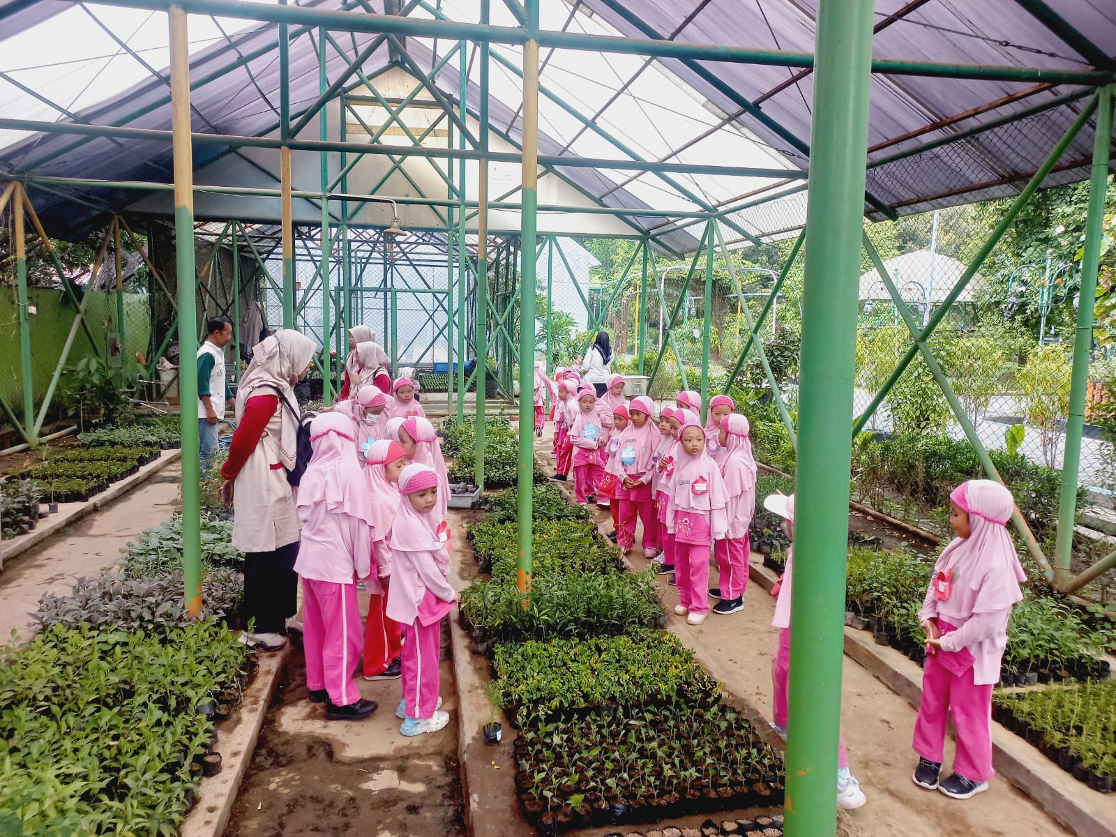 Mengenal Ciptaan Allah